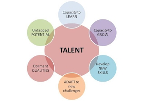 A chart illustrating how you can identify talent potential.
bubble chart
