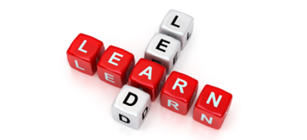 A picture containing white and red blocks with the words lead and learn